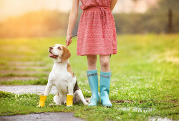 How to Measure Your Dog's Paws for Boots That Actually Fit