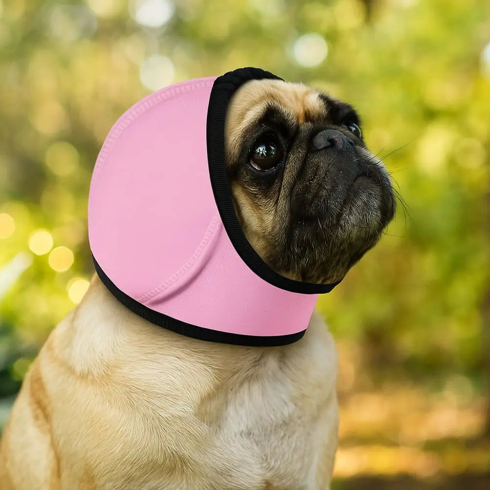 Midello dog calming ear muffs worn by a dog during a thunderstorm to reduce anxiety