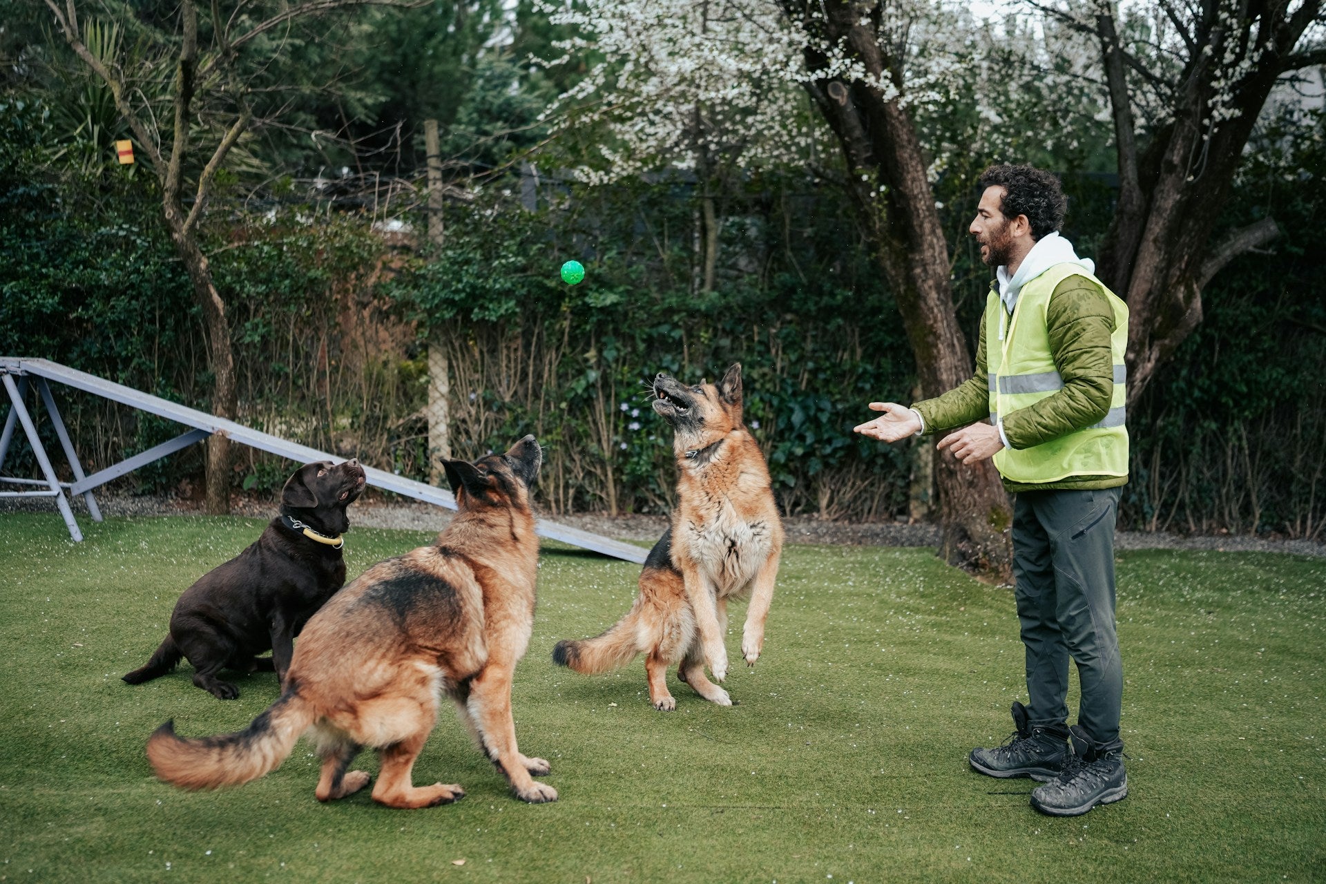 Training & Behavior