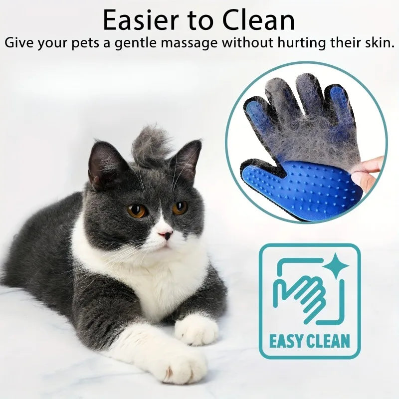 Transform Your Pet Care Routine Today