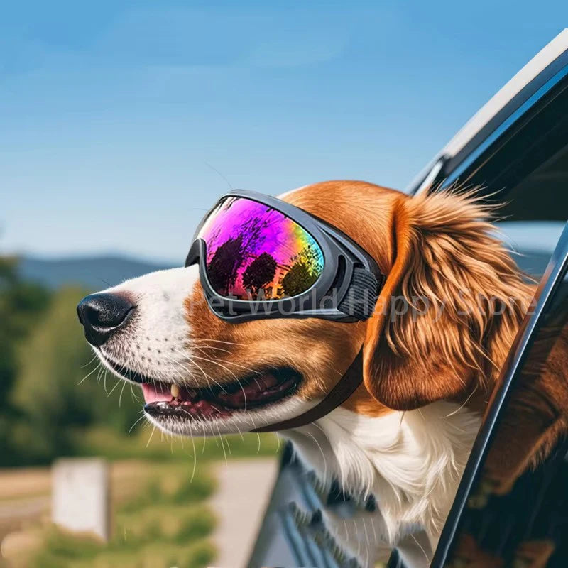 Transform Your Pet's Outdoor Experience