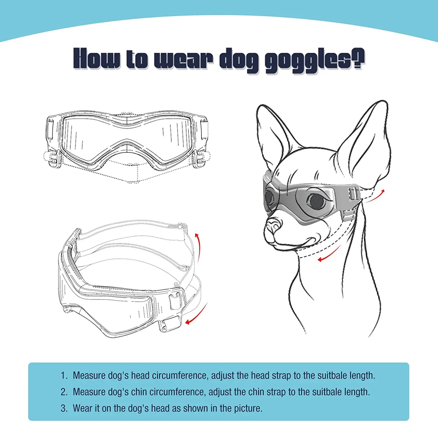 Watch Your Pet's Confidence Soar!